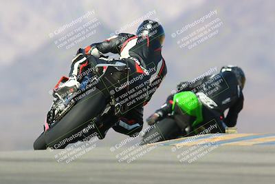 media/Jan-13-2024-SoCal Trackdays (Sat) [[9c032fe5aa]]/Turn 9 Backside (110pm)/